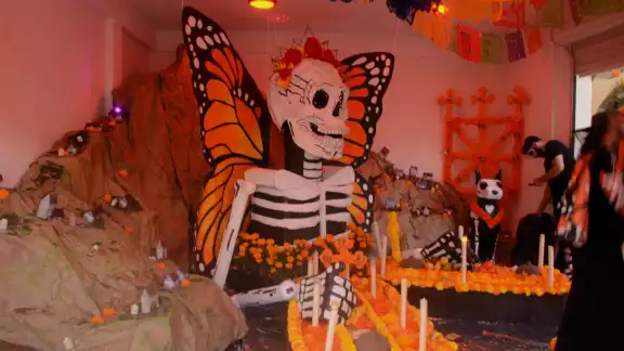 Altares de todos los estados pudieron ser apreciados por los visitantes. Altares de todos los estados pudieron ser apreciados por los visitantes.