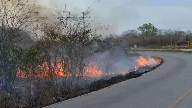 Ejidatarios advierten riesgo de perder el monte por quemas descontroladas