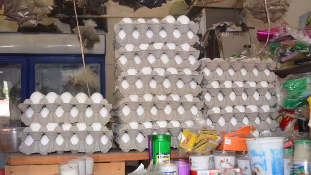 El precio del huevo aumentó hasta 95 pesos la reja