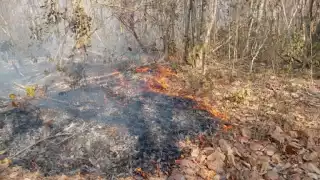 Incendio de maleza en Escárcega quema cablería eléctrica 