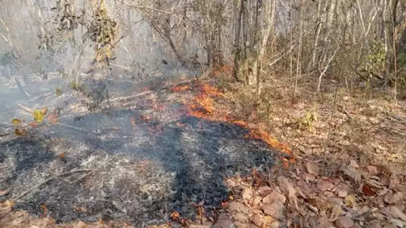 Incendio quema cablerías en Escárcega
