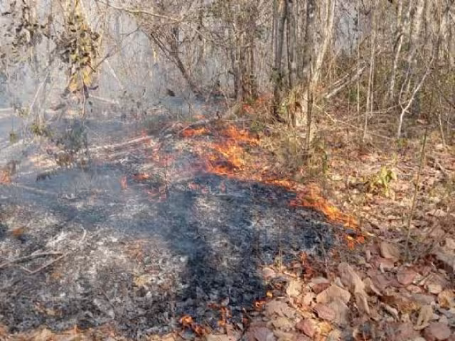 Incendio quema cablerías en Escárcega