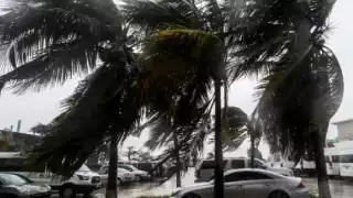 Tormenta Tropical Ileana impactará hoy en la costa norte de Sinaloa
