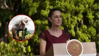 Claudia Sheinbaum anuncia en Calakmul expansión de Sembrando Vida a Guatemala y Belice