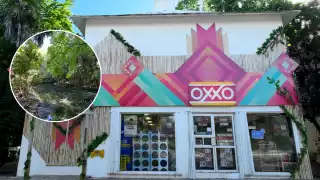   Oxxo con cenote, el único en todo el mundo  