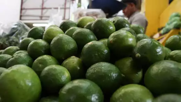 El kilo del cítrico se comercializa hasta en 30 pesitos.