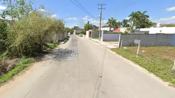 Pobladores rescatan a un perro que fue metido a una bolsa y tirado en espera de que se ahogara
