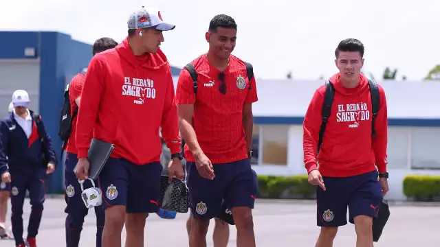 El rebaño ya se encuentra en la Sultana del Norte