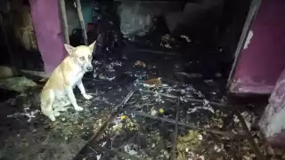 Familia en Cancún pierde su patrimonio en un incendio