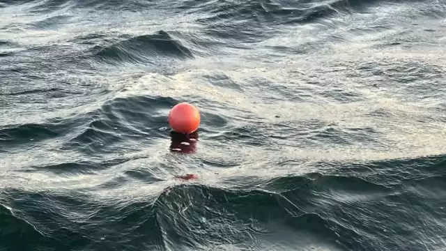 Instituciones establecidas en Chetumal ayudarán en el monitoreo