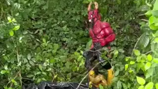 El hallazgo de extrañas figuras asociadas con brujería preocupaba a residentes de Ucú y Hunucmá  