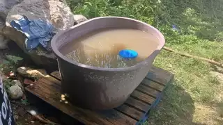 Habitantes de Xpujil, Calakmul, tienen problemas con el agua potable, que sale con lodo.