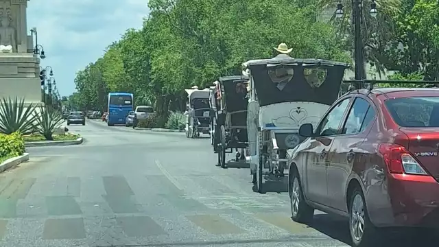 Cuatro calesas fueron documentas circulando sobre Paseo de Montejo antes del horario permitido