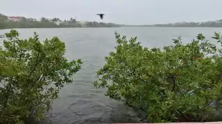 El personal de Protección Civil supervisó el bombeo de 55 mil metros cúbicos de agua de lluvia al mar
