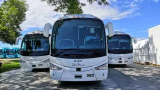 Trabajadores de empresa de transporte  de Playa del Carmen denuncian presuntos abusos labores 