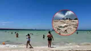 Turistas ignoran advertencia e ingresan al mar en Progreso pese a presencia de fauna peligrosa
