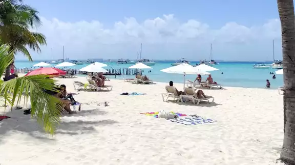 Debido a su ubicación geográfica, el sargazo no llega a la famosa isla Debido a su ubicación geográfica, el sargazo no llega a la famosa isla