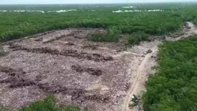 Este mismo mes de junio Profepa y Medio Ambiente Federal lo clausuraron