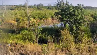 Rellenan humedales y manglar de Huay-Pix