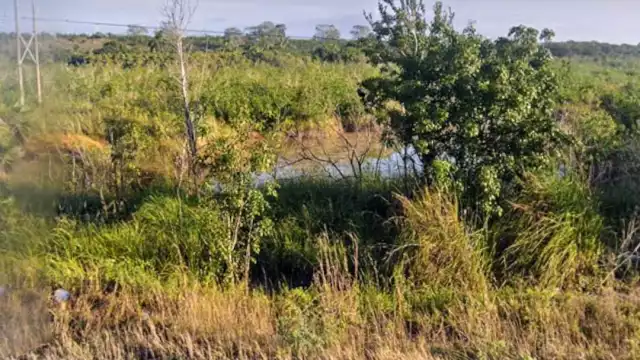 Rellenan humedales y manglar de Huay-Pix