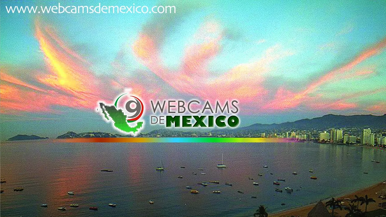 Ver Video