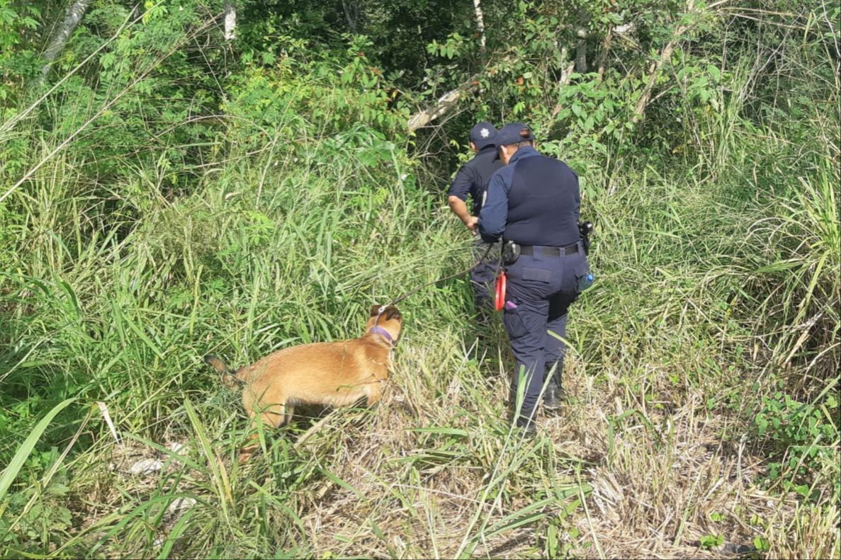 La Zona Maya enfrenta una crisis de desaparecidos sin precedente La Zona Maya enfrenta una crisis de desaparecidos sin precedente