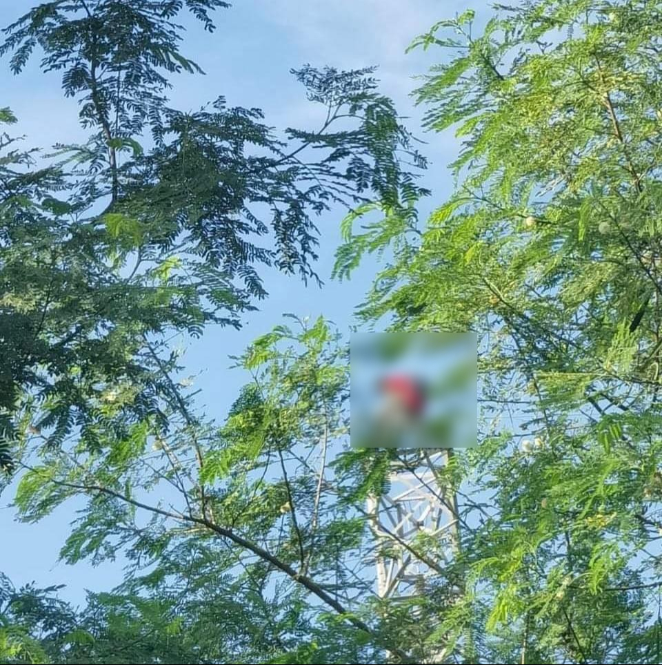 El hombre presuntamente se encuentra bajo los efectos de algún enervante