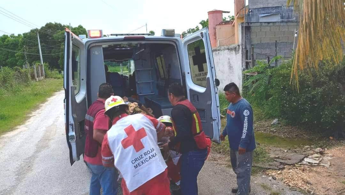 El incidente ocurrió a las 8:30 horas y fue reportado por la hija del hombre El incidente ocurrió a las 8:30 horas y fue reportado por la hija del hombre