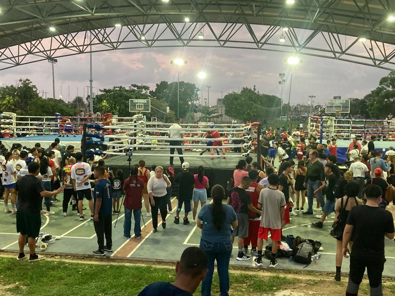 Guantes Dorados 2024 rendirá homenaje a los medallistas de los Juegos Nacionales CONADE 2024.