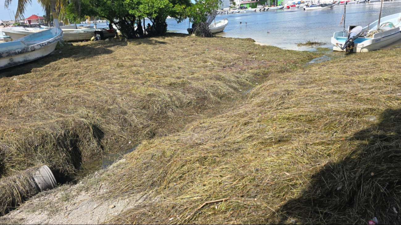 No hay que minimizar el asunto, creo que lo más recomendable es que las autoridades hagan lo que les corresponde”.