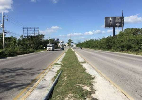 Quintana Roo formará parte del plan federal “Bachetón"