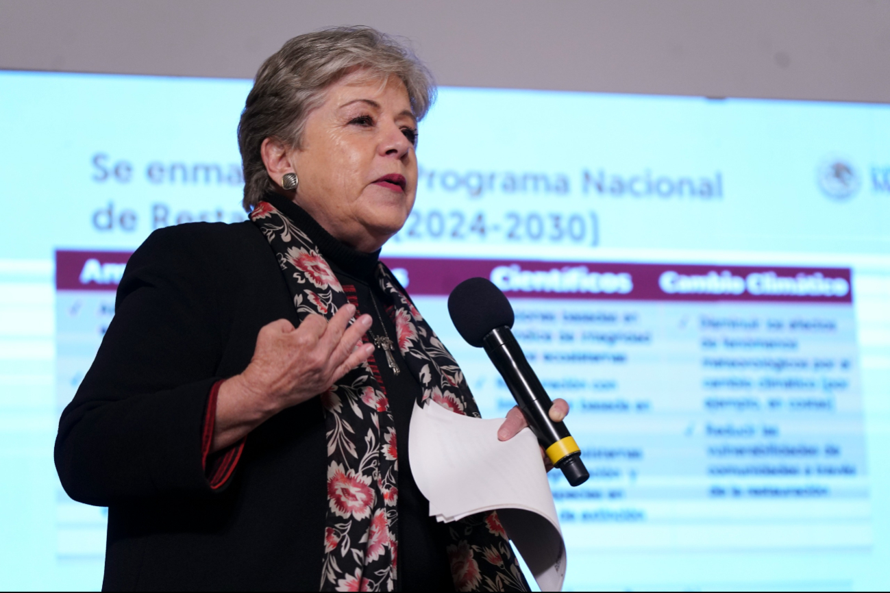 Alicia Bárcena Ibarra, secretaria de Medio Ambiente y Recursos Naturales Alicia Bárcena Ibarra, secretaria de Medio Ambiente y Recursos Naturales