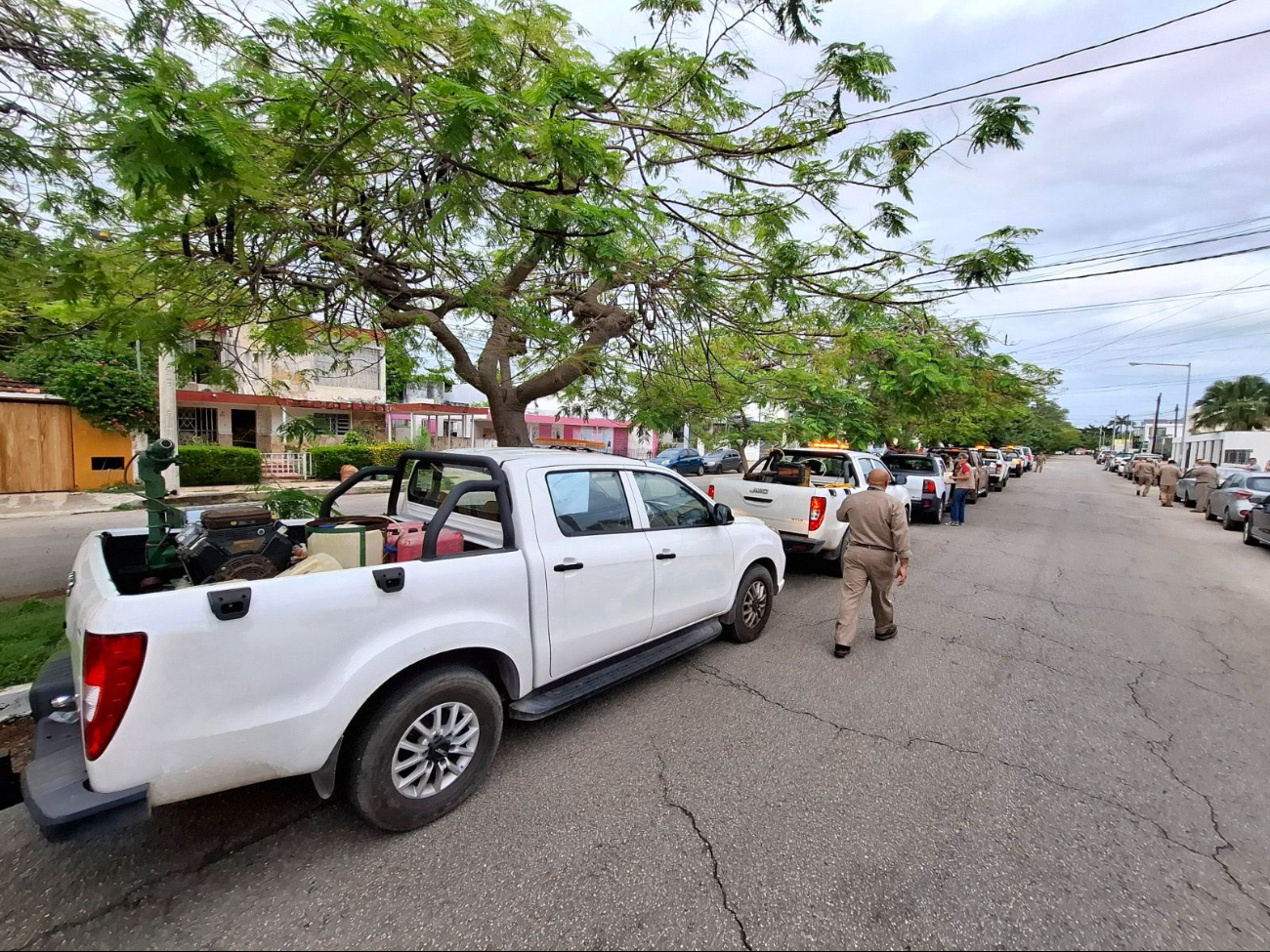 Serán 19 localidades costeras las que se fumigarán Serán 19 localidades costeras las que se fumigarán