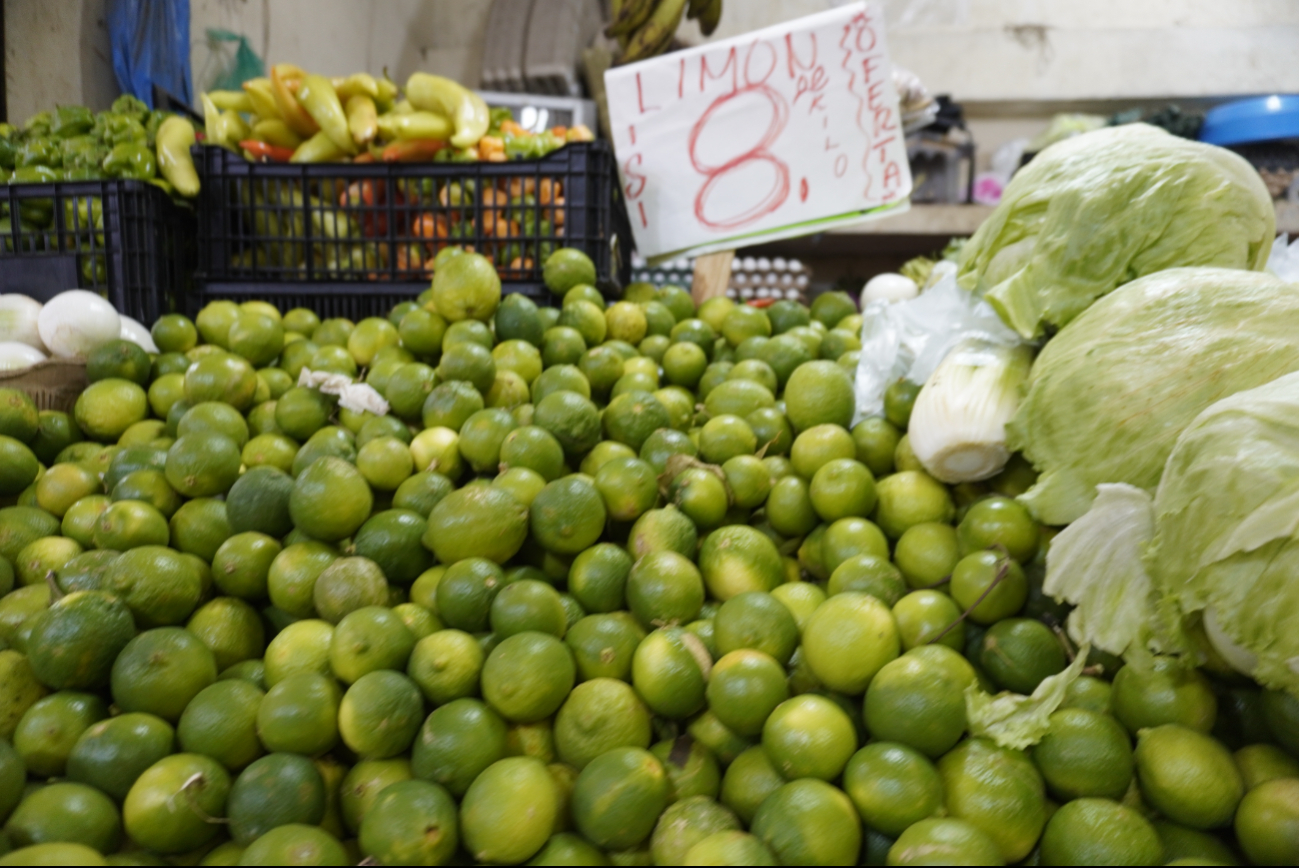 Cae precio de limón por mayor producción Cae precio de limón por mayor producción