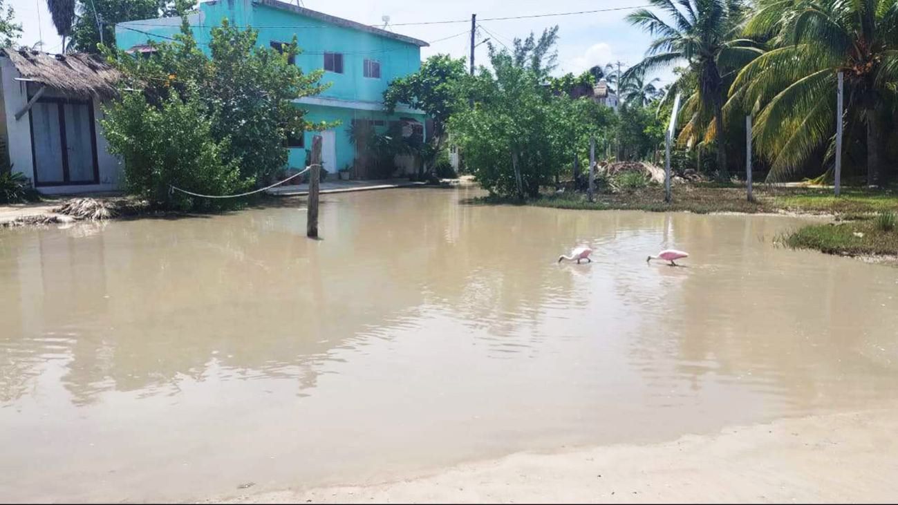 Debido a las inundaciones tras los huracanes, se generaron severas inundaciones Debido a las inundaciones tras los huracanes, se generaron severas inundaciones