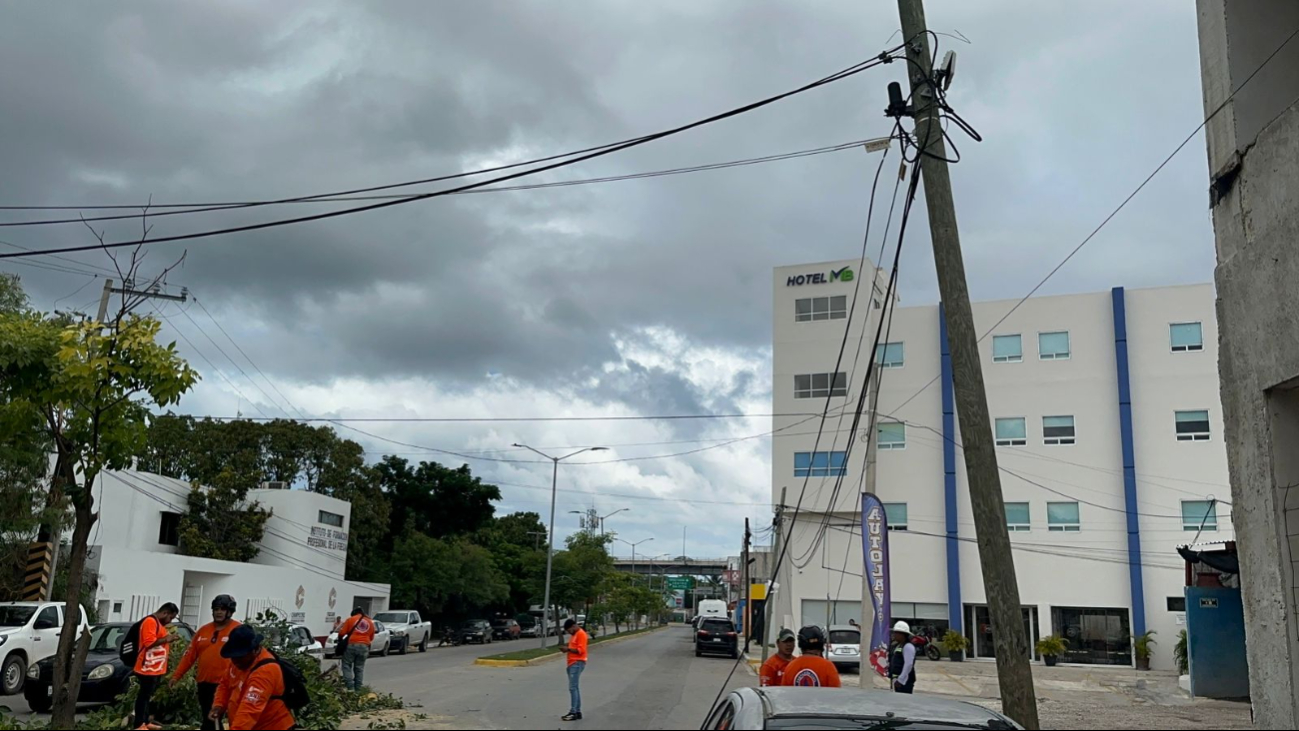 El conductor huyó del lugar