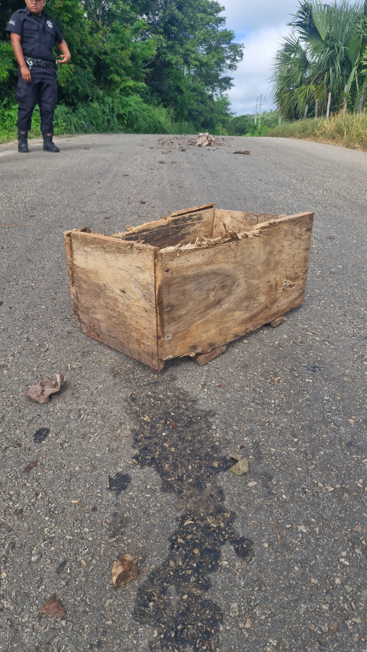 En la comisaría de Kancab, a unos metros del cementerio, encontraron fragmentos óseos En la comisaría de Kancab, a unos metros del cementerio, encontraron fragmentos óseos