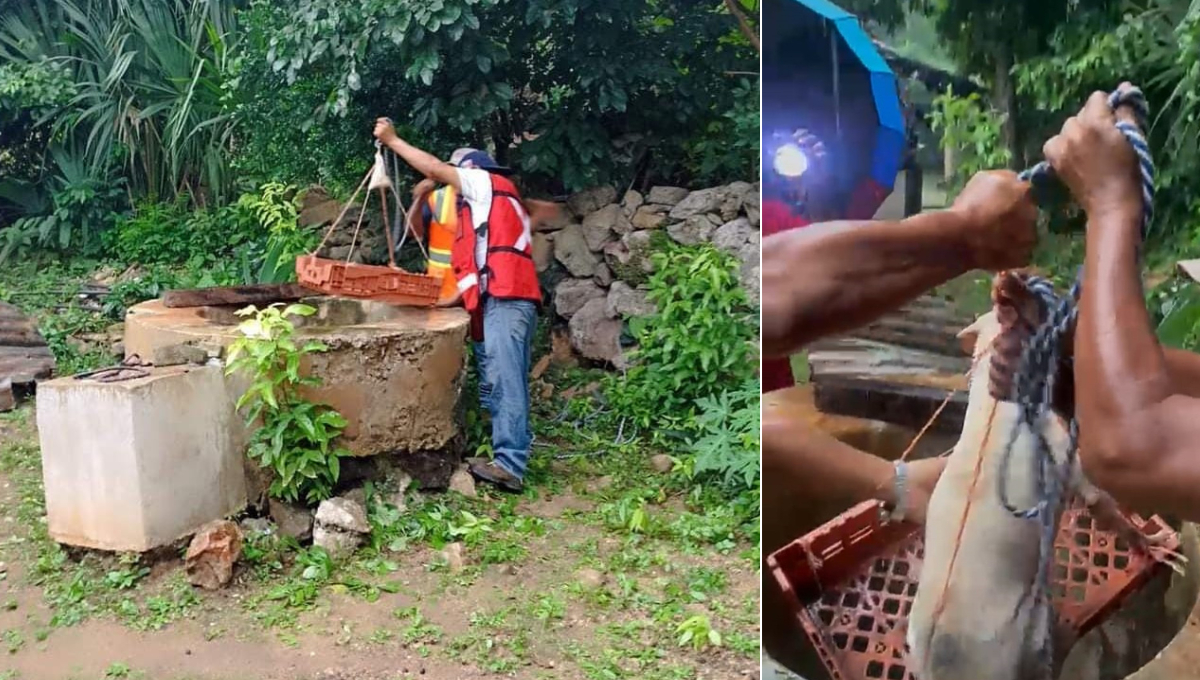 Un perrito cayó en un pozo de 14 metros de profundidad en Tepakán mientras correteaba gatitos Un perrito cayó en un pozo de 14 metros de profundidad en Tepakán mientras correteaba gatitos