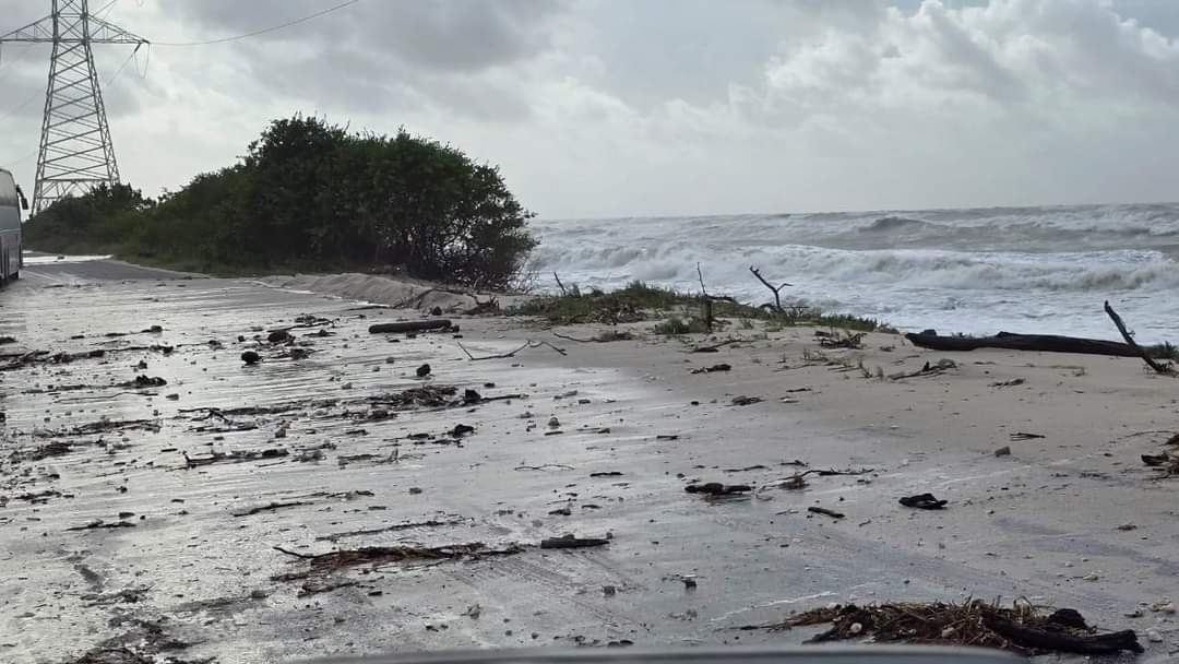 Al ejemplar lo hallaron cerca del kilómetro 50, en el litoral entre Isla Aguada y Sabancuy. Al ejemplar lo hallaron cerca del kilómetro 50, en el litoral entre Isla Aguada y Sabancuy.