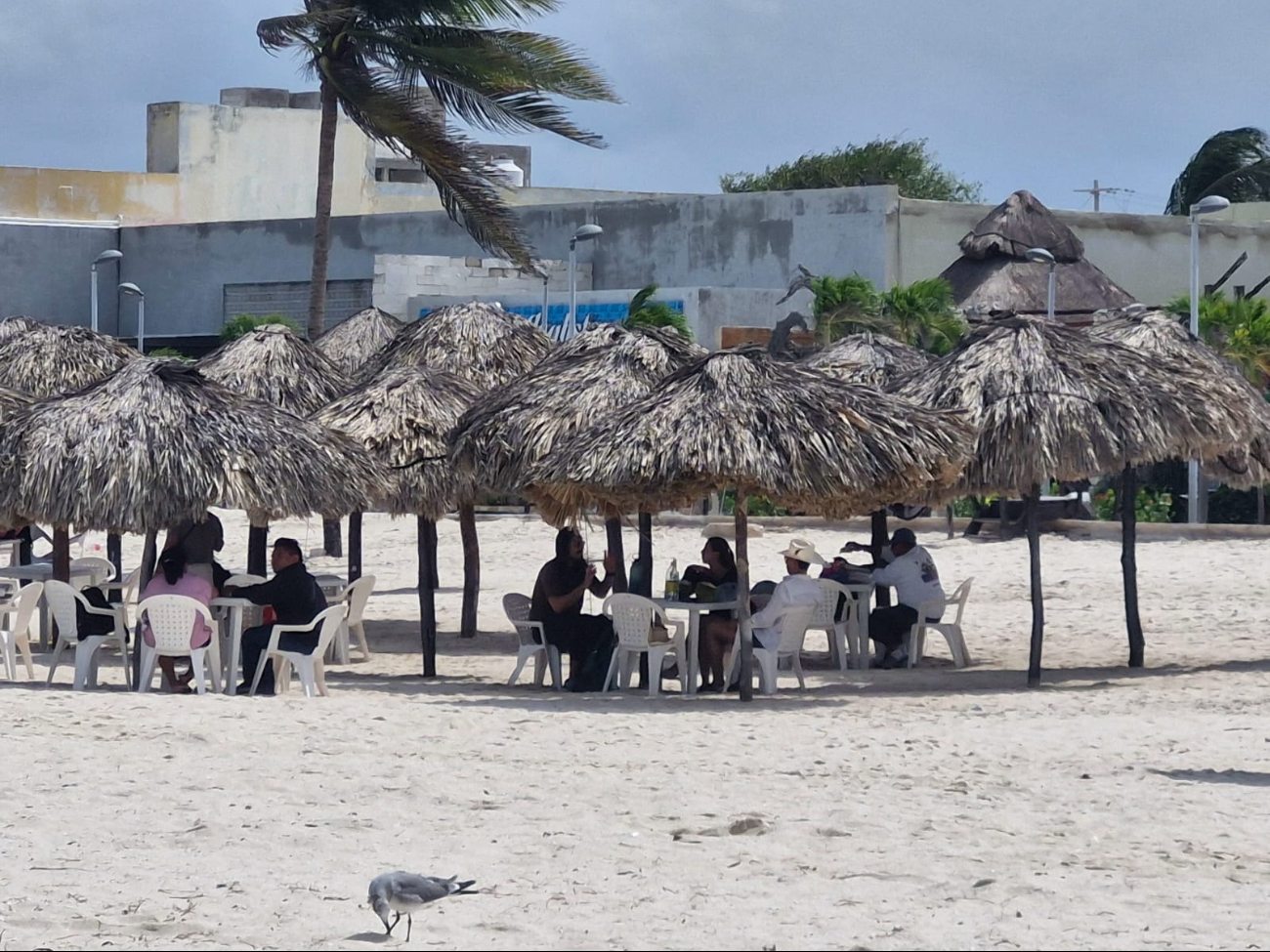 Fuertes rachas de viento se registran en la costa yucateca Fuertes rachas de viento se registran en la costa yucateca
