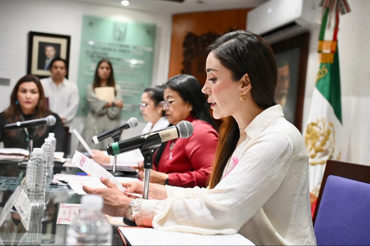 La convocatoria está dirigida a instituciones de salud públicas y privadas, académicas y organizaciones civiles La convocatoria está dirigida a instituciones de salud públicas y privadas, académicas y organizaciones civiles
