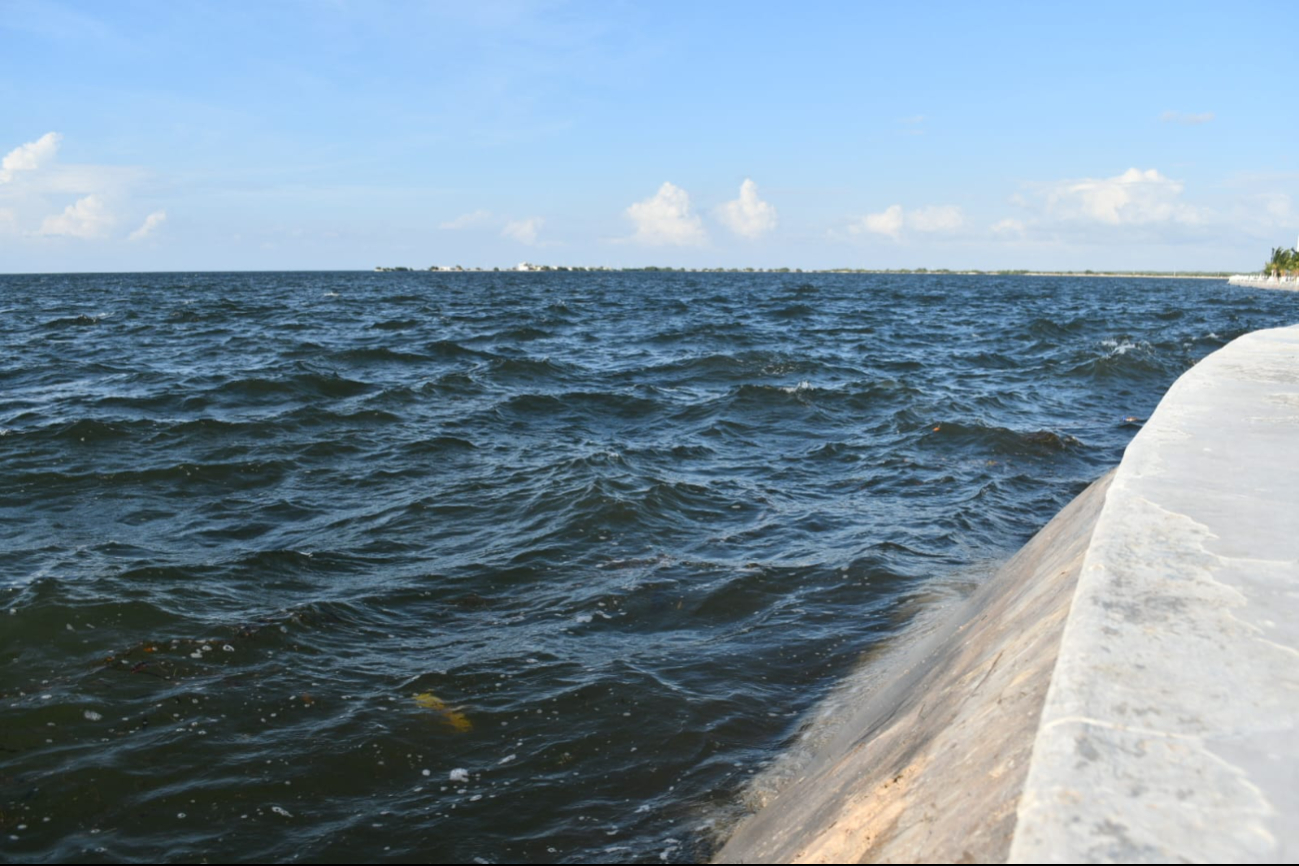 Se espera una "Marea Muy Alta" con un coeficiente de marea de 114, indicando mareas más altas de lo normal Se espera una "Marea Muy Alta" con un coeficiente de marea de 114, indicando mareas más altas de lo normal