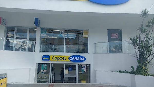 Con un cheque falso, las mujeres estafadoras lograron cometer el robo Con un cheque falso, las mujeres estafadoras lograron cometer el robo