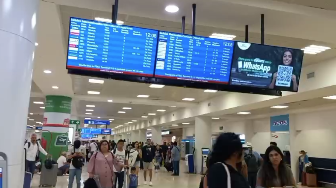 De las 400 operaciones, 188 se registraron ser salidas nacionales De las 400 operaciones, 188 se registraron ser salidas nacionales
