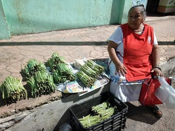 Todos los años el frijol maya incrementa su precio a finales de octubre por la elaboración del mucbipollo Todos los años el frijol maya incrementa su precio a finales de octubre por la elaboración del mucbipollo