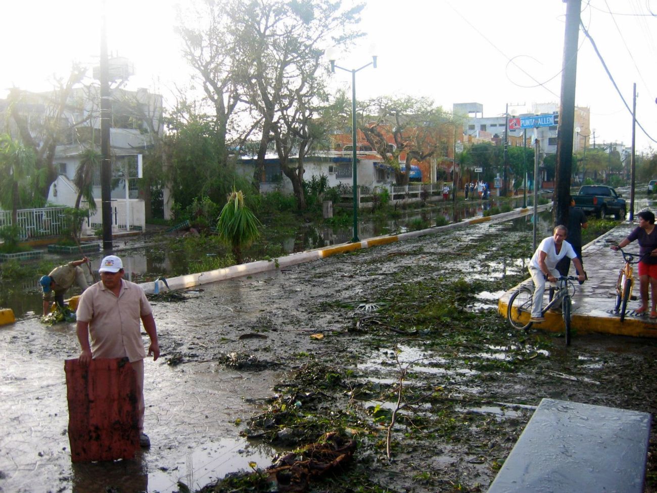 Los mismos habitantes ayudaron con la limpieza de ramas, troncos caídos y árboles