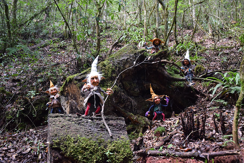 Pequeños espíritus protectores de la naturaleza, celebrados en ceremonias durante el Día de Muertos Pequeños espíritus protectores de la naturaleza, celebrados en ceremonias durante el Día de Muertos