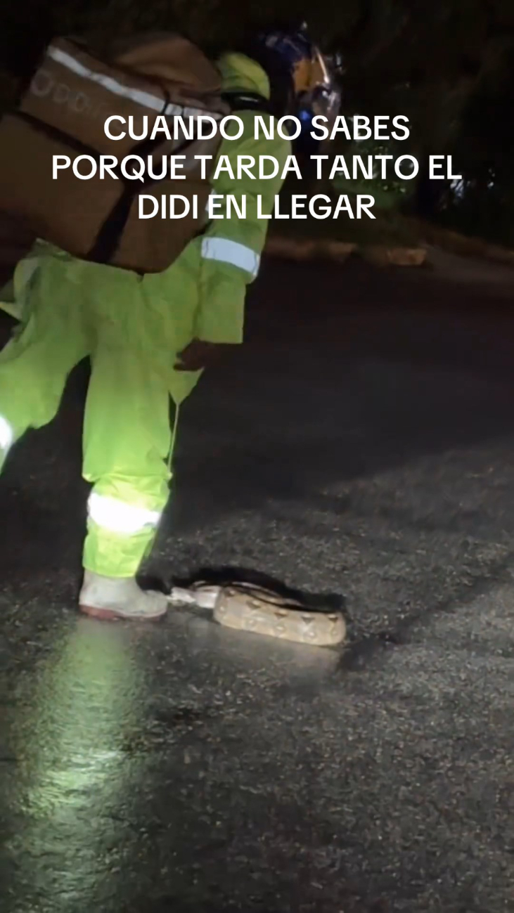 El repartidor fue elogiado por salvar a la serpiente de ser aplastada. El repartidor fue elogiado por salvar a la serpiente de ser aplastada.