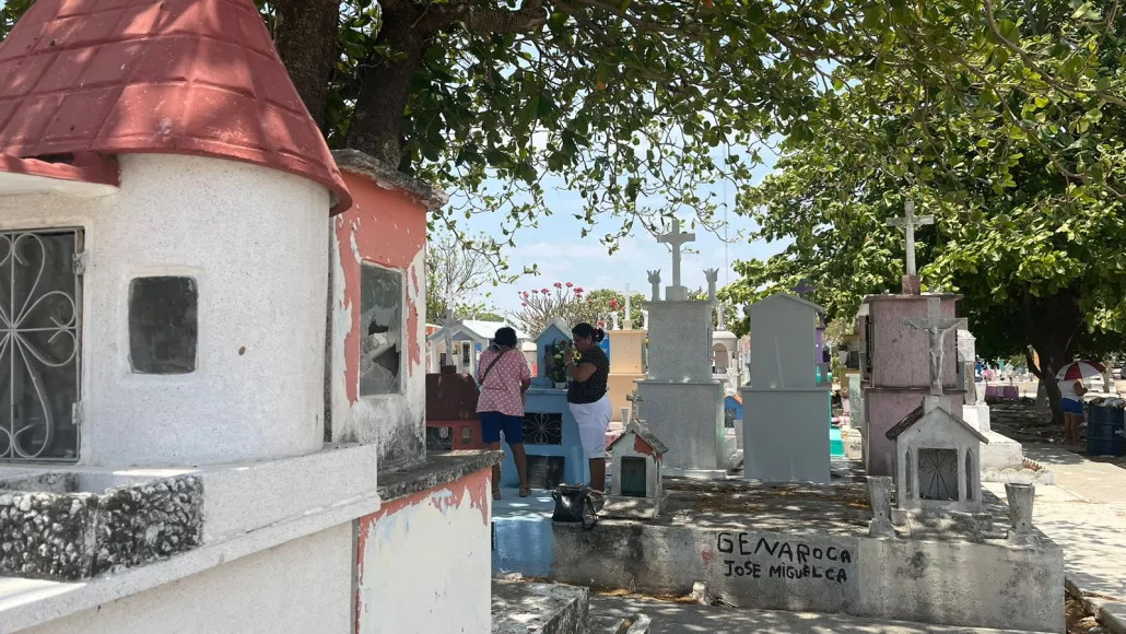 Felipe Pacheco dijo que como parte del mantenimiento se recolectará la basura y se podará árboles. Felipe Pacheco dijo que como parte del mantenimiento se recolectará la basura y se podará árboles.