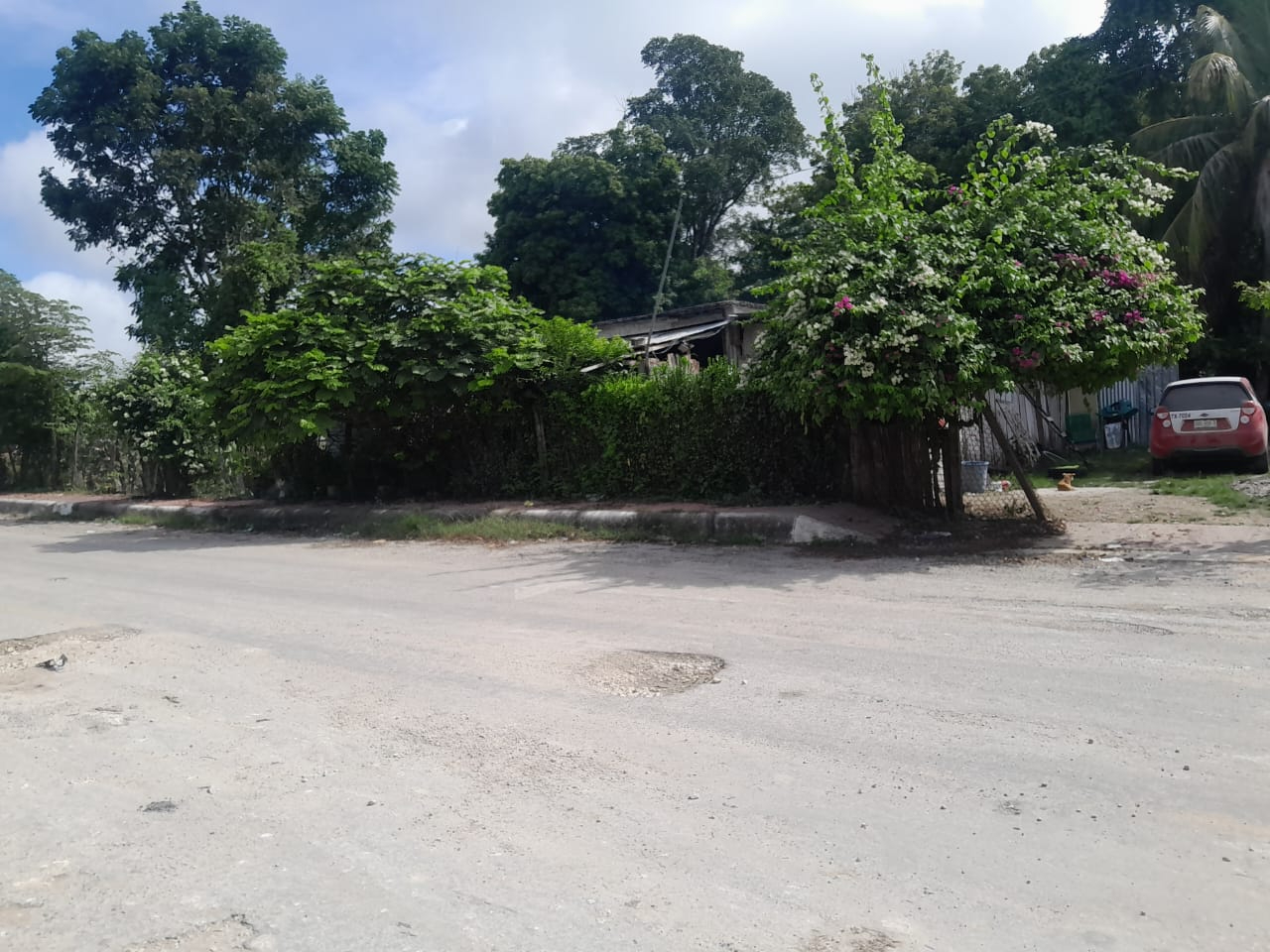 Ladrones aprovecharon la madrugada para robar un pavo de una casa en la colonia Salsipuedes Ladrones aprovecharon la madrugada para robar un pavo de una casa en la colonia Salsipuedes